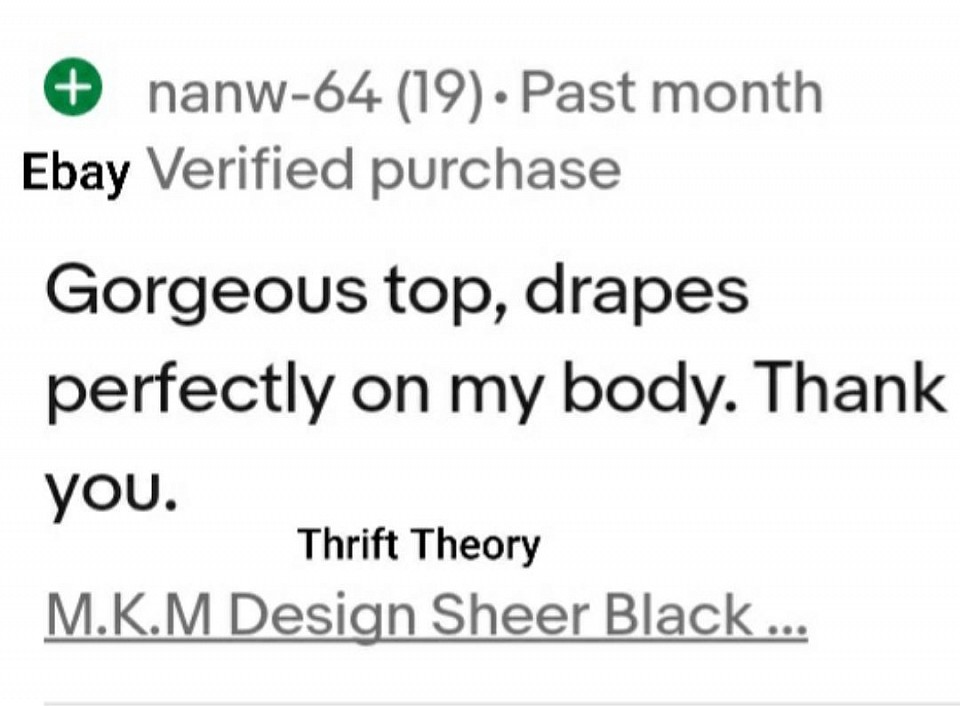 M.K.M Design Sheer Black Raglan Sleeve Top Plus Size
